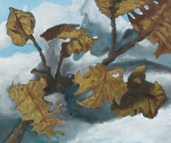 Cristof Yvoré, Untitled, 2013