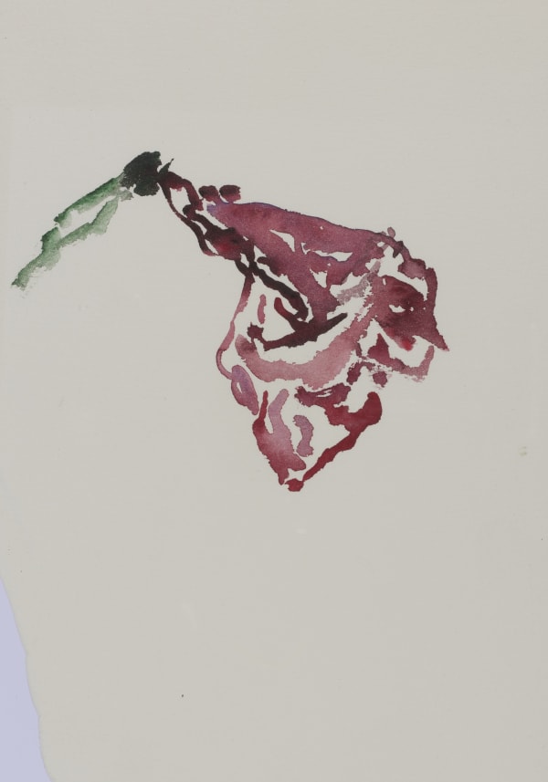 Bernd Lohaus, untitled, n.d.