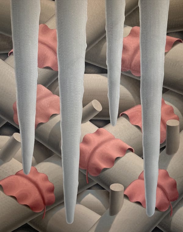 Laurens Legiers, autumn ice, 2021