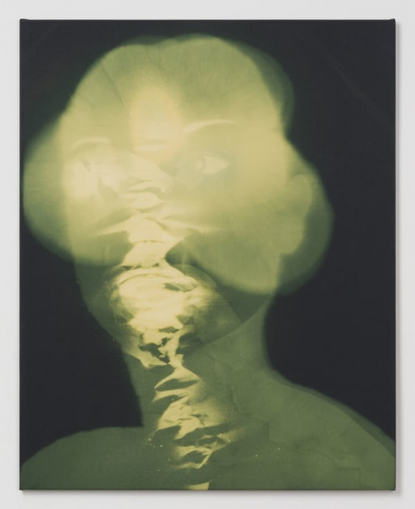 Sara Sizer, Fremde #5, 2018