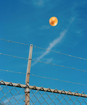 Max Pinckers, The Apple That Wasn’t (from the series Margins of Excess), 2018