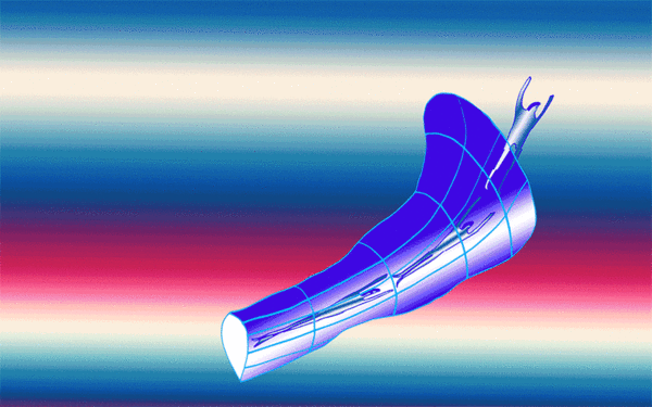 Ruohan Wang, The Gravitation 02 - Blackhole, 2017