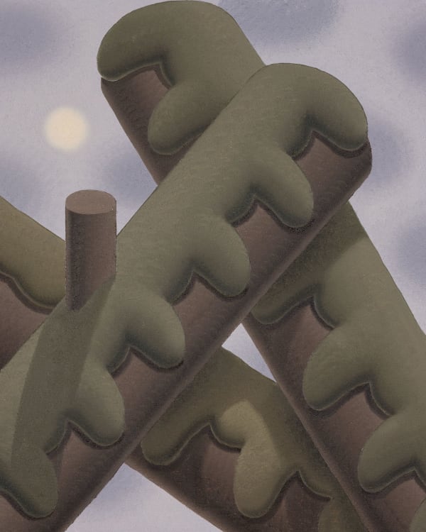 Laurens Legiers, old trees, 2021