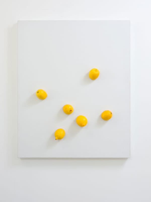 Leon Vranken, still life with lemons , 2022