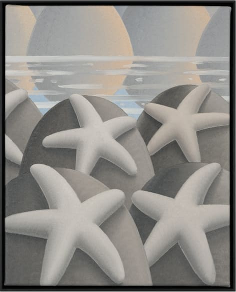 Laurens Legiers, Resting sea stars, 2021