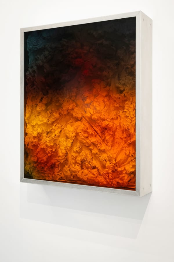 Filip Vervaet, Wild, 2024