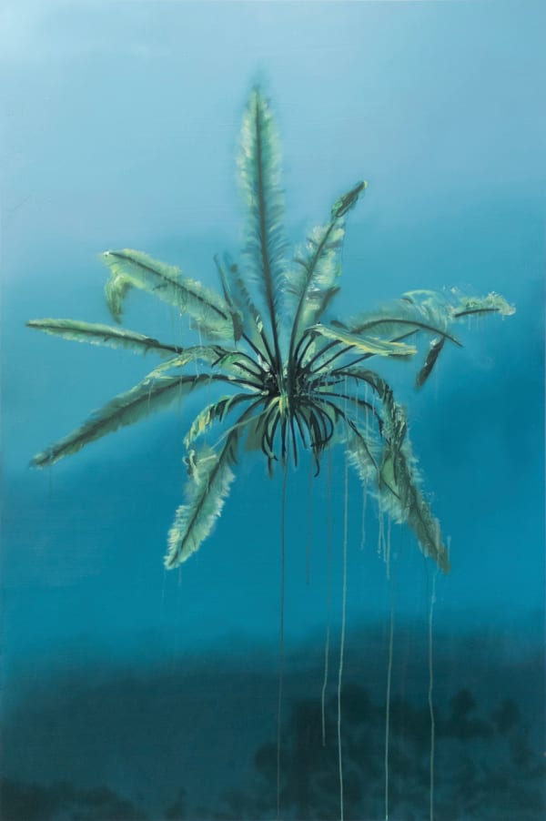 Sarah De Vos, Featherstar, 2024