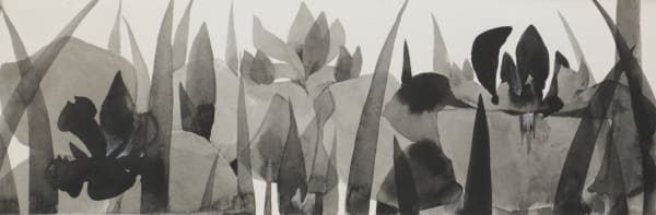 Kayama Matazō (1927–2004) , Iris, c. 1968