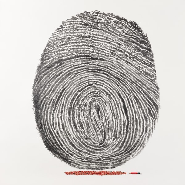 Shi Jin-Hua, Pen Walking #135, 2014