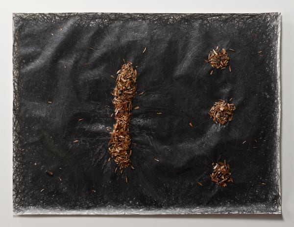 Shi Jin-Hua 1964-2024Pen Walking #145, 2015 Pencil on paper and document 45.7 x 60.2 cm, 42 x 29.7 cm