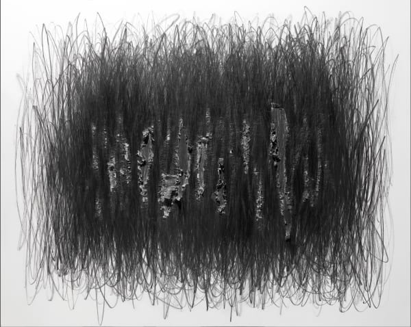 Shi Jin-Hua, Pen Walking #80, 2010