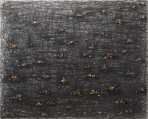 Shi Jin-Hua, Pen Walking #139, 2012-2014