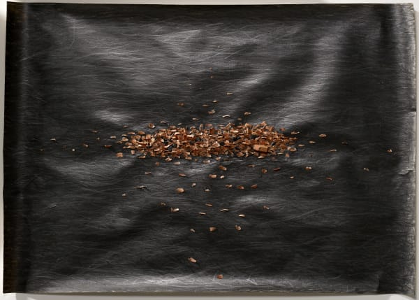 Shi Jin-Hua, Pen Walking #138, 2014