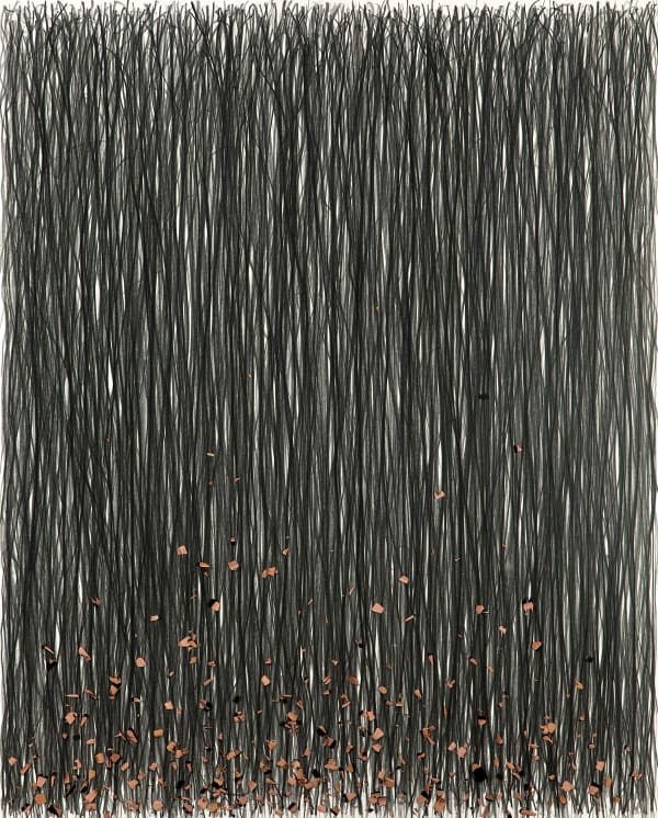 Shi Jin-Hua, Pen Walking #107, 2011