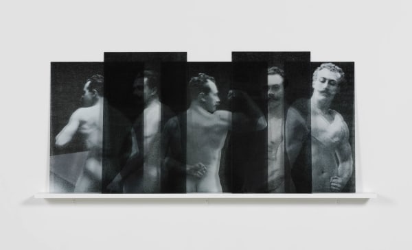 Milja Laurila, Un beau spécimen, 2016