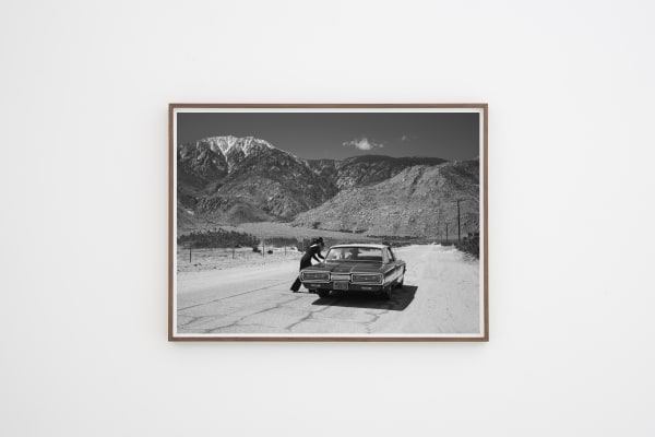 Anja Niemi, FIght Series no. 4, 2019