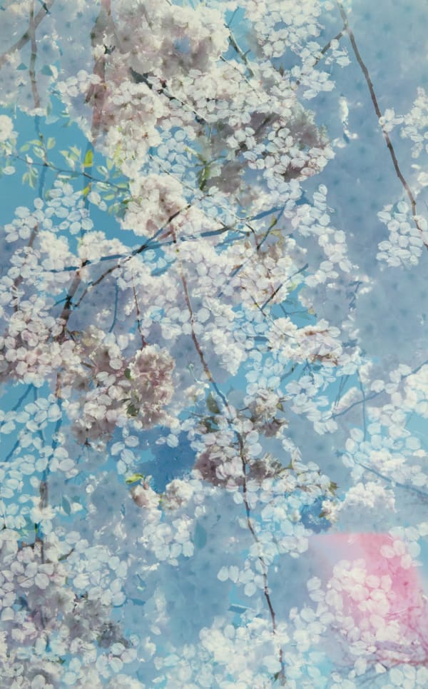 Erle M. Kyllingmark, Untitled Journey #15, 2018