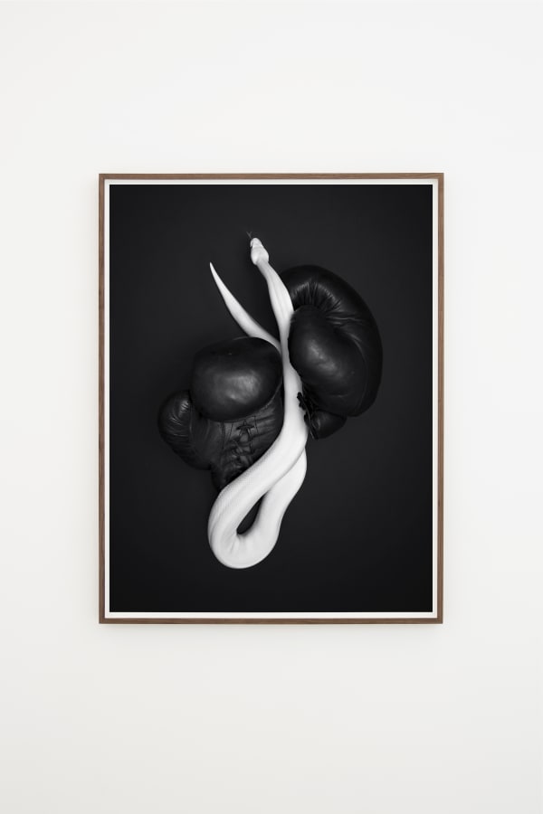 Anja Niemi, FIght Series no. 7, 2019