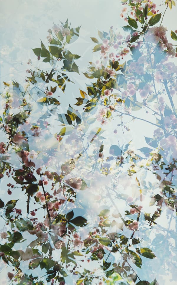 Erle M. Kyllingmark, Untitled Journey #17, 2018