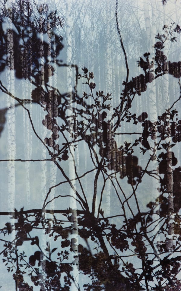 Erle M. Kyllingmark, Untitled Journey #16, 2018