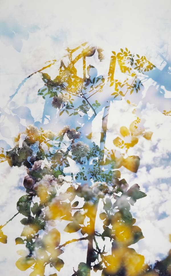 Erle M. Kyllingmark, Untitled Journey #12, 2018
