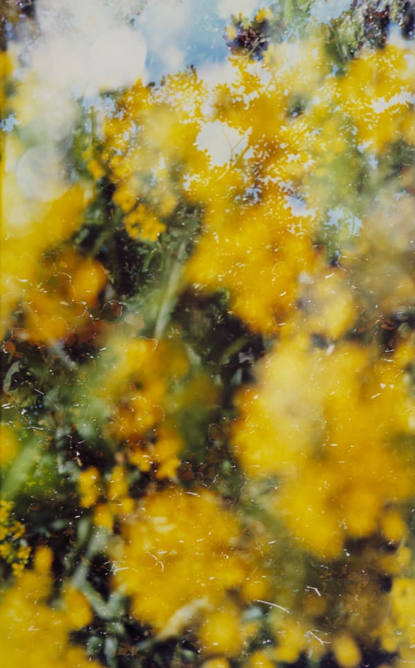 Erle M. Kyllingmark, Untitled Journey #11, 2018