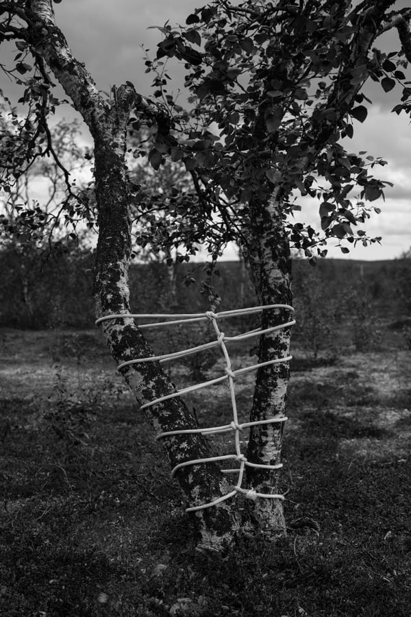 Anna Reivilä, Bond #13, 2016