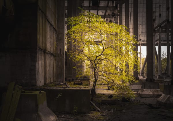 Halfdan Hallseth, Chernobyl Series , 2019