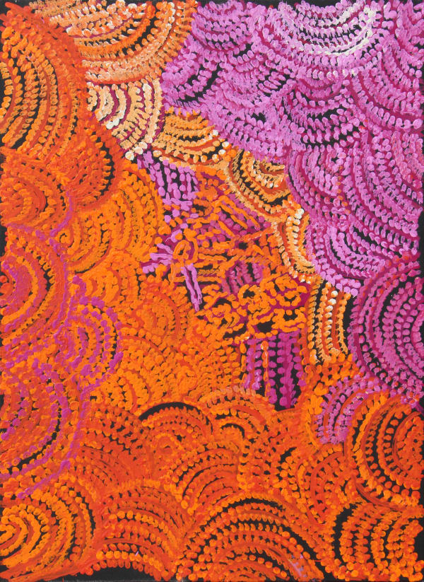 Emily Cullinan Ananyi Ngura (Traveling Country), 2021 acrylic on canvas 67 x 91 cm