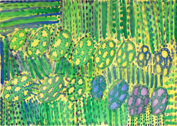 Lorna Kantilla Jilamara, 2019 Watercolour on paper 28.5 x 38 cm