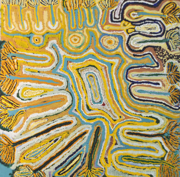 Ngamaru Bidu Wikiri acrylic on linen 91 x 91 cm
