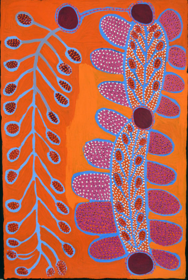 Kunmanara (Ruby) Williamson Ngayuku ngura - My Country acrylic on linen 150 x 99 cm