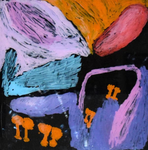 Rosie (Tarku) Tarco King Japirnka acrylic on polycarbonate 60 x 60 cm