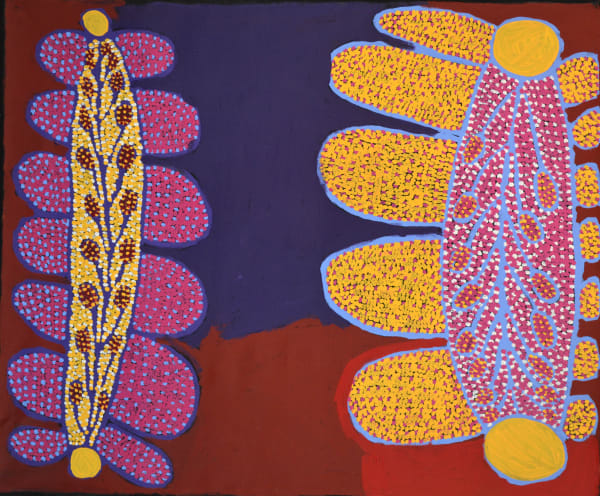 Kunmanara (Ruby) Williamson Ultukunpa - Honey Grevillea acrylic on linen 101.5 x 122 cm