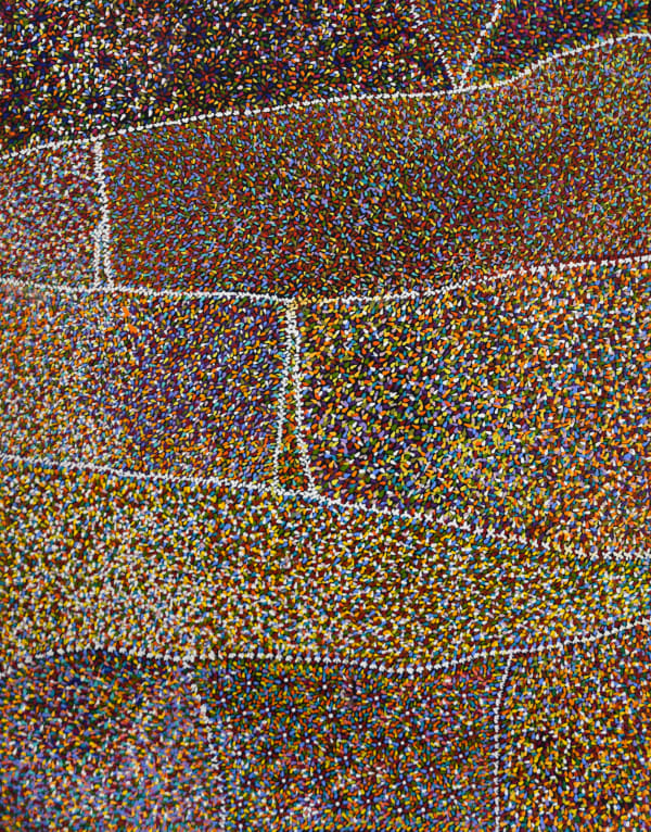 Aileen Sandy Pilbara Wildflowers, 2021 acrylic on canvas 80 x 103 cm