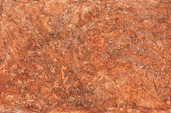 Allery Sandy After the Fire. Burnt Country, 2024 acrylic on canvas 98.5 x 146.5 cm