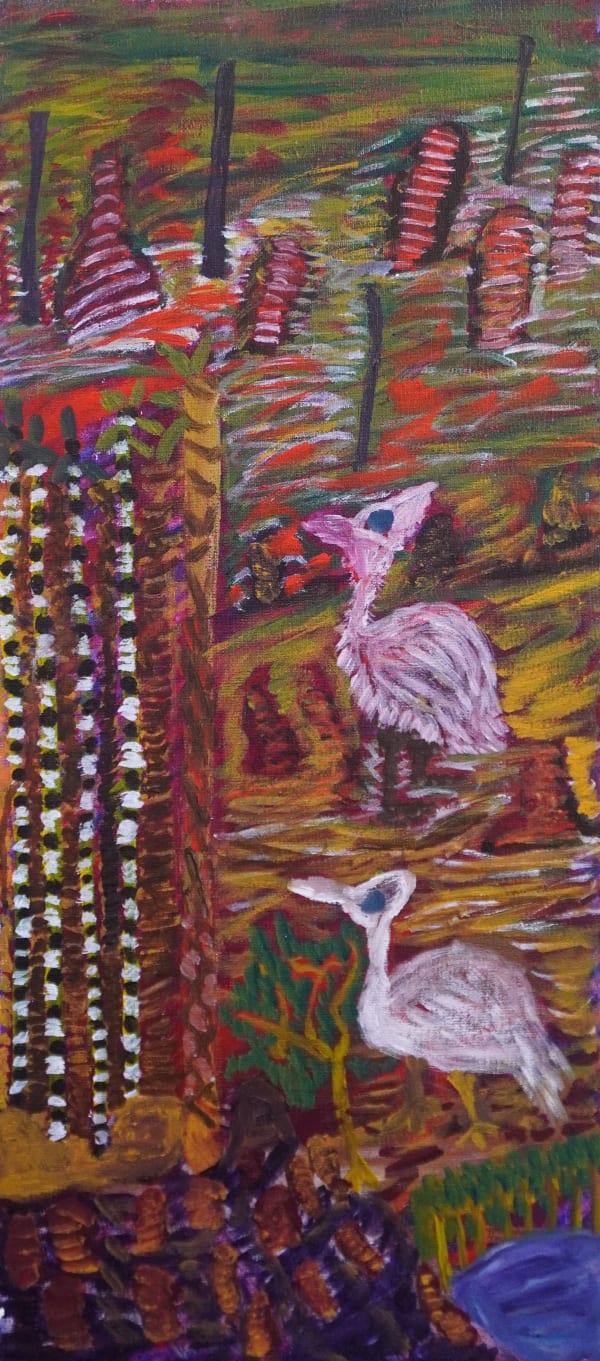 Janet Dreamer, Bush Turkey, 2018