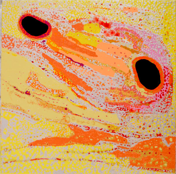 Daniel Walbidi Winpa acrylic on linen 61 x 61 cm