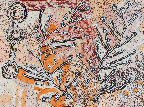 Nellie Coulthard Tjuntala Ngurangka (Country with Acacia Wattle), 2020 acrylic on linen 91 x 122 cm