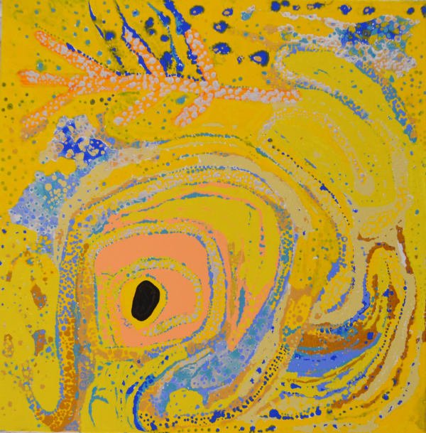 Daniel Walbidi Winpa acrylic on linen 61 x 61 cm
