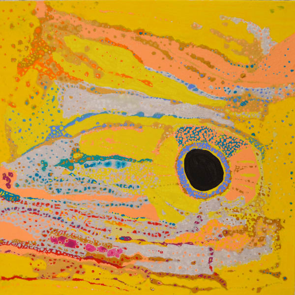 Daniel Walbidi Winpa acrylic on linen 61 x 61 cm