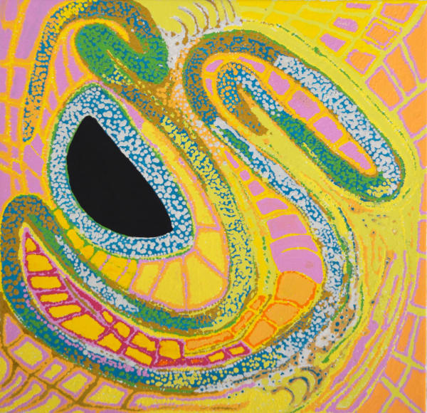 Daniel Walbidi Daiyku 2018 acrylic on linen 60 x 60 cm