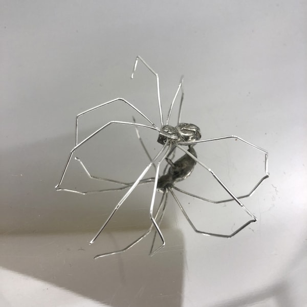 Fay Ray, Neith 1, 2019