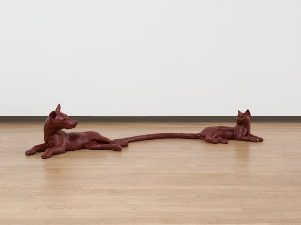 Tori Wrånes, Fifth Leg, 2022