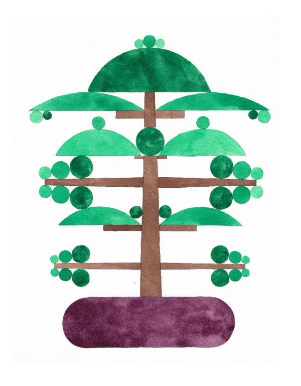 Chris Bogia, Bonsai (Temple Pine), 2019