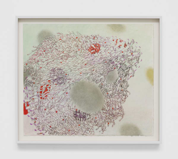 Dana Lok Predictive Knit, 2022 Colored pencil and pastel on paper 18 x 21 in 45.7 x 53.3 cm