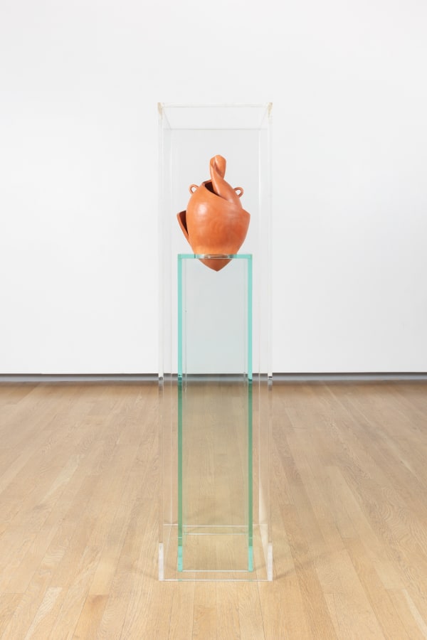 Cammie Staros, Scaphium evolutum, 2020