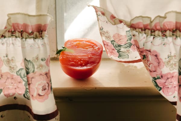 Photograph by Casey Joiner of half a sliced tomato sitting on a window sill where the sheer white curtains with a floral trim frame the food. The sun seeps in between the curtains and slightly above the tomato.