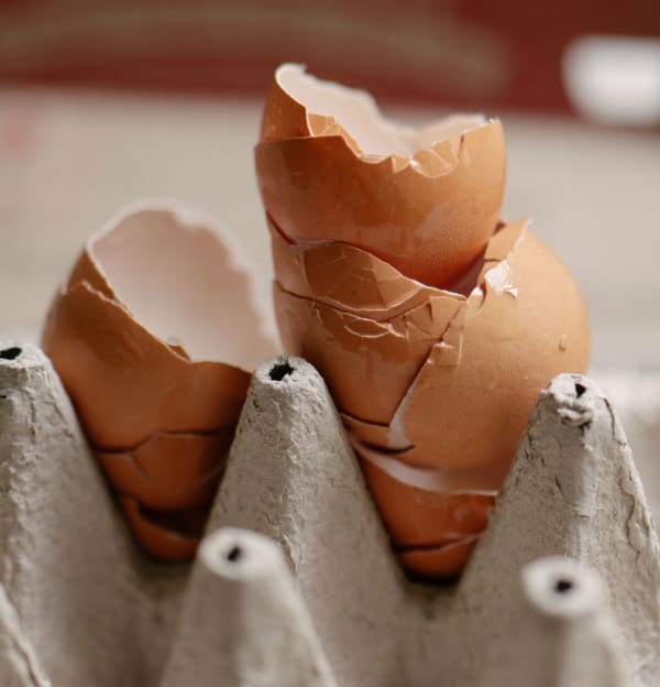 Photograph by Casey Joiner of a closeup of opened eggs' shells stacked in two piles and placed back in the egg carton.