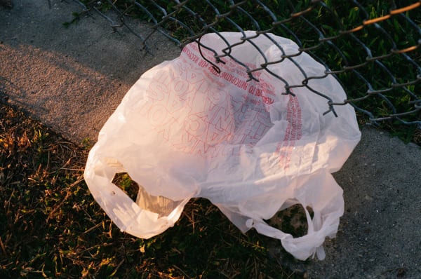 Photograph by Casey Joiner of a white plastic bag caught under a chain linked fence with some sunlight illuminating the concrete and grass ground.